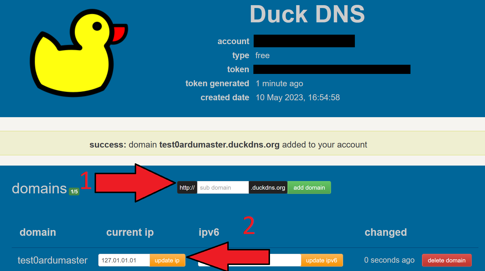 Página de dominio de Duck DNS